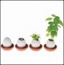 Thủ tục thành lập công ty cổ phần